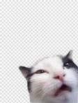Avatar de jamho