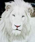 Avatar de alonto