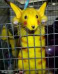 Avatar de RATACHU