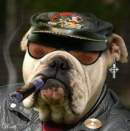 Avatar de charlynew