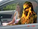 Avatar de chubacca