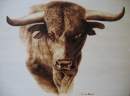 Avatar de Santiago BULL