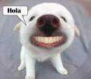 Avatar de anto01