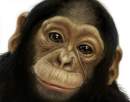 Avatar de MONKEYSHY