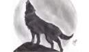Avatar de Eduardo DOG