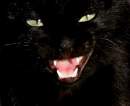 Avatar de Bl Har 88