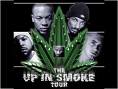 Avatar de Cannabis