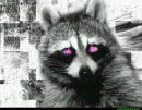 Avatar de Mapacheloko