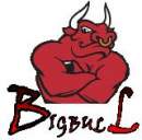 Avatar de BIGBULL