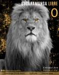 Avatar de Elkbro