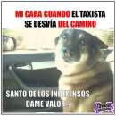Avatar de Perromueco