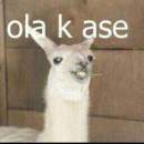 Avatar de olakase1200