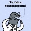 Avatar de gorgonsola