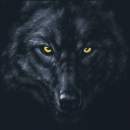 Avatar de adjlobos