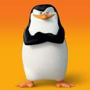 Avatar de Fredycardb