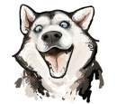 Avatar de StevenSnow