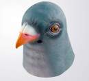 Avatar de elpalomoloco