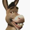 Avatar de MAESTROBURRO