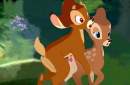 Avatar de bambi1