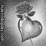 Avatar de marcelita11_20