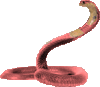 Avatar de kabhroneitor9