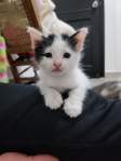 Avatar de notaniceguy21