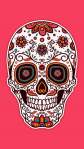 Avatar de rudolfensis