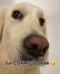 Avatar de Traderco