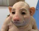 Avatar de andres90