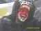 Avatar de lemo26