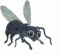 Avatar de ozxmork