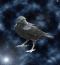 Avatar de copetin1990