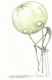 Avatar de cris.sotelo