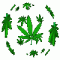 Avatar de Toxicrownd
