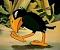 Avatar de Wakawaka