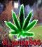el_paisa866