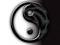 yinyang63