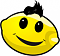 Avatar de MR LEMON