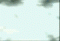 Avatar de y1024