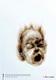 Avatar de gefolgen