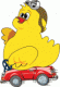 carpollo