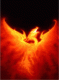 Avatar de acheronte87