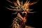 Avatar de sarfer18