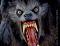 Avatar de SkullCraker
