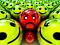 Avatar de dsebass