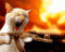 Avatar de theduke2008