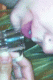 Avatar de IlovePorn