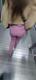 Avatar de petri14