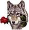 Avatar de lobo13