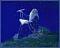 Avatar de xgatespain